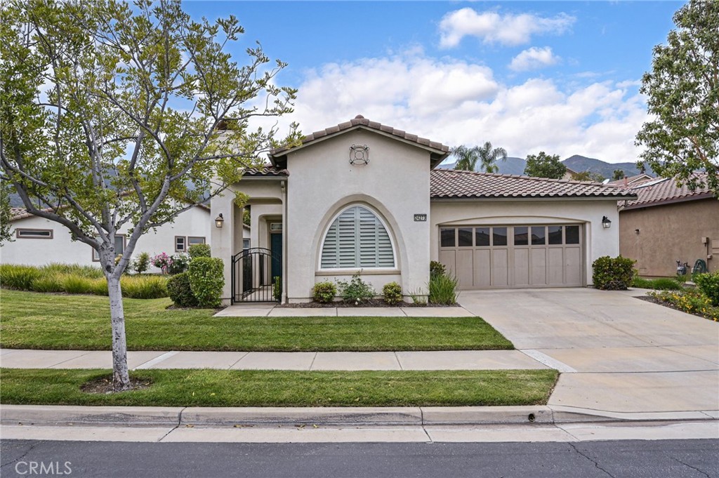 24273 Owl Court