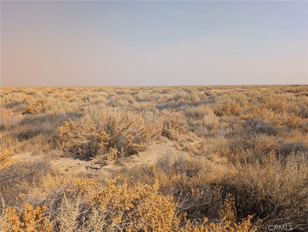 Santa Margarita Rural(80) - Land