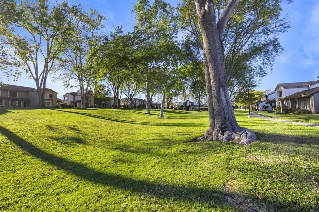 5389 Caminito Velasquez