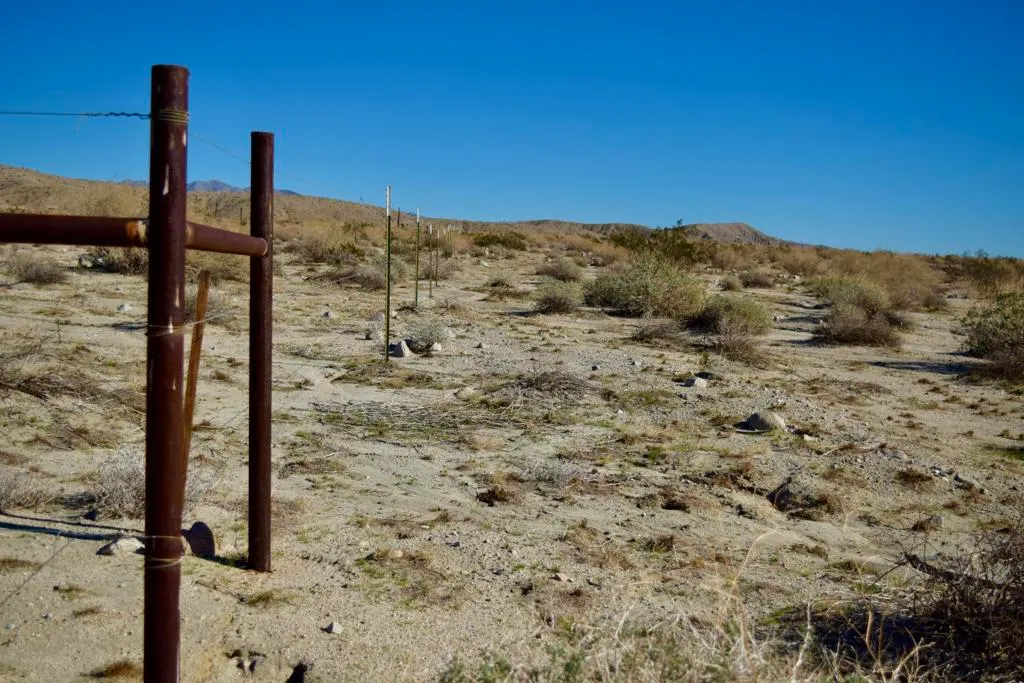 Thousand Palms, California 92276, United States, ,Land,Active,254728