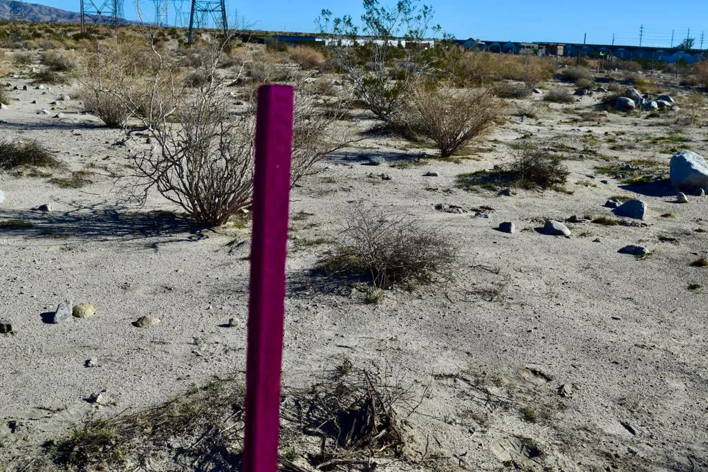 Thousand Palms, California 92276, United States, ,Land,Active,254728