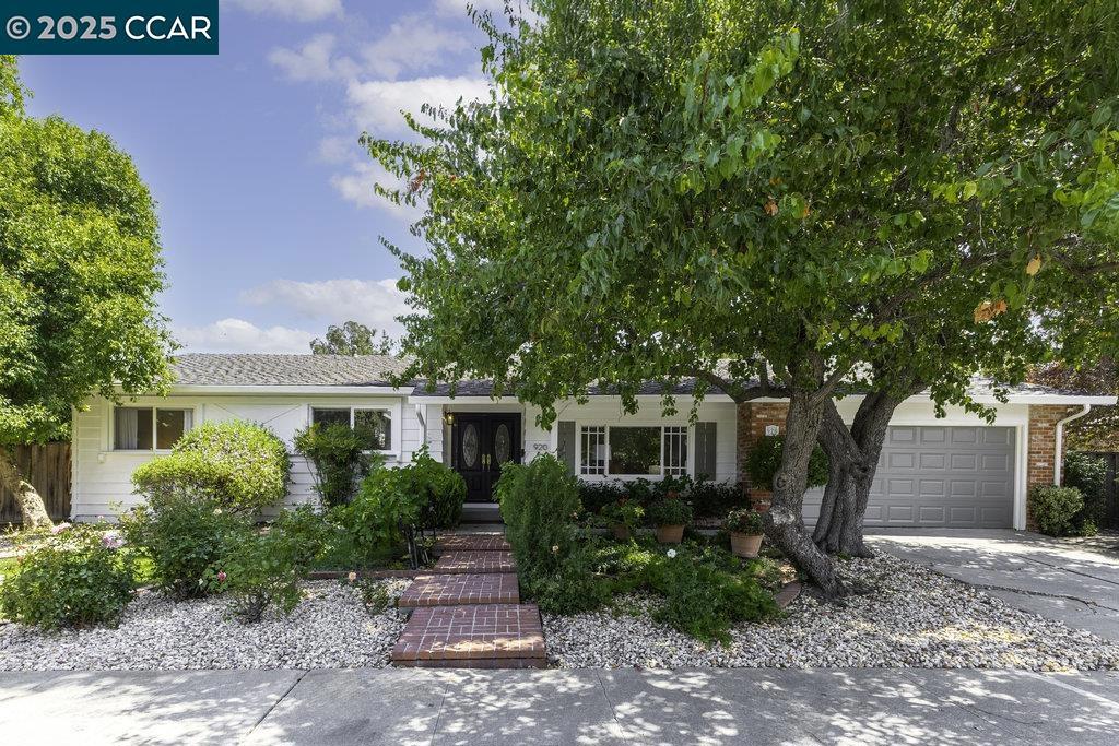 Wonderful single-level home in the sought-after Carriage Square neighborhood! Updated interior spaces, formal living/dining/family rooms and French doors leading out to beautiful backyard. Pride of ownership is evident throughout the property with updated bathrooms and hardwood floors. The ideal floor plan has bedrooms on one side and living spaces on the other. Gorgeous landscaped yards, sparkling pool and tons of outdoor entertaining and seating spaces...perfect for indoor/outdoor living. Close proximity to shopping, dining, public and private schools and just minutes to BART/Hwy 680. A gem...don't miss!