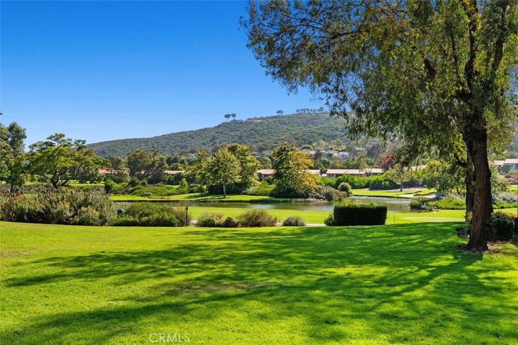 31361 E Nine, Laguna Niguel CA 92677 - Photo 39