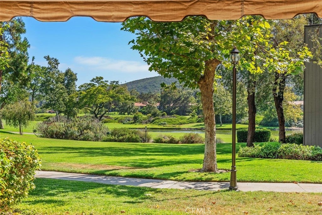 31361 E Nine, Laguna Niguel CA 92677 - Photo 37