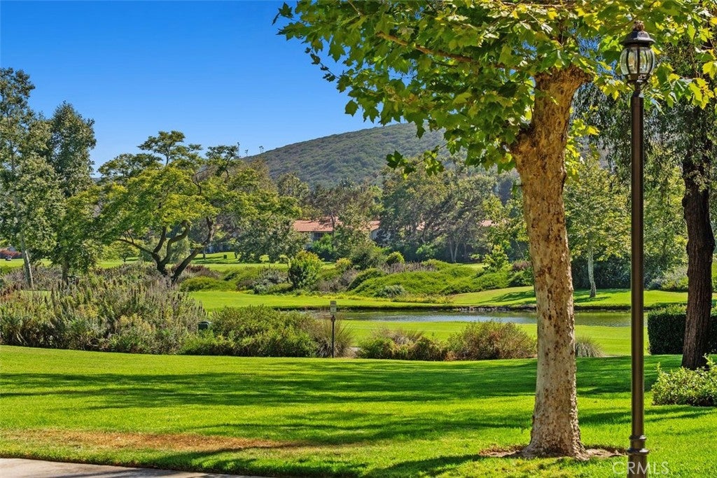 31361 E Nine, Laguna Niguel CA 92677 - Photo 38