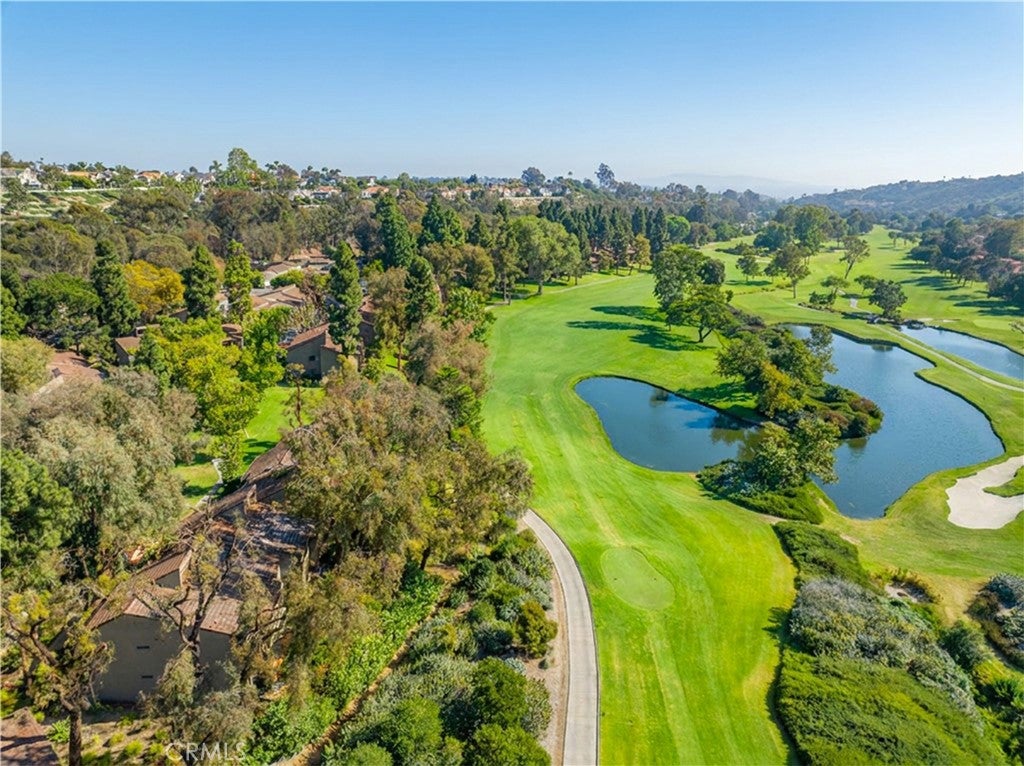 31361 E Nine, Laguna Niguel CA 92677 - Photo 50