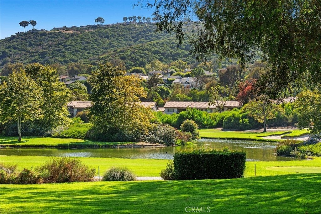 31361 E Nine, Laguna Niguel CA 92677 - Photo 40