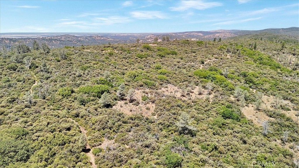 8972 Amoruso Lane