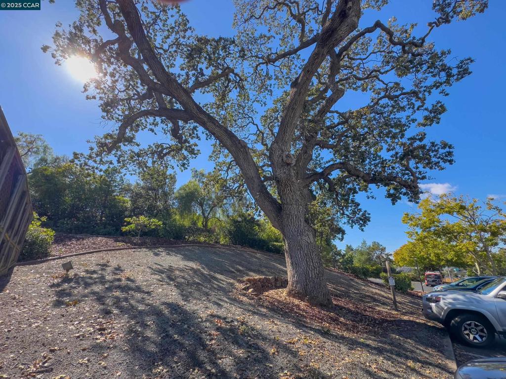 GALINDO CREEK - Residential
