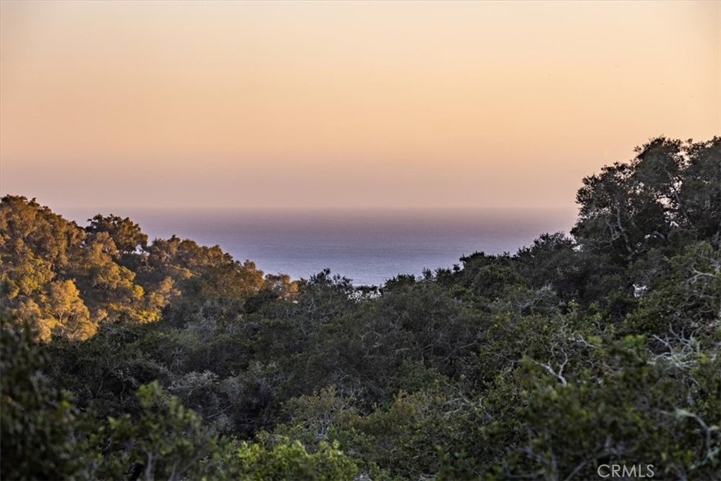 PROPERTIES 2865 Rock Wren Lane