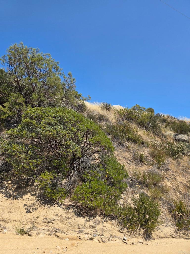 789 Crazy Horse Canyon Drive