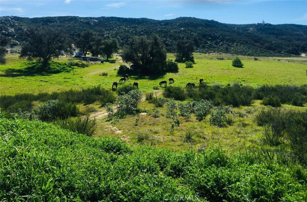 Flat to very gentle rolling 21.52 acre with horse facilities already set up, has 3/8 of a mile unraveled horse exercise round horse track, family fruit orchard with 80 trees which include Pear trees, Nectarine Trees, Lemon Trees, Peach Trees, Pomegranate Boshes, Crape Vines, ect. Loaded with 18 oak trees, has out door kitchen, multiple pens for animals & horses, seller will consider leaving his travel trailer for an additional price. Has huge well with 5000 gallon holding tank, power, septic, need cell phone. Parcel is located between Temecula & Hemet, and only a few short minutes to shopping in either city. Close to Diamond Valley Lake, Lake Skinner, Vail Lake, Pechanga or Soboba Casino, just outside Temecula Valley Vineyards and Wineries, only 7 miles to Dominogoni Parkway which takes you to Winchester Highway 79, 215 Freeway, 15 Freeway, and also close to Winchester, Menifee, Murrieta, Aguanga, San Diego & Los Angels are close also.