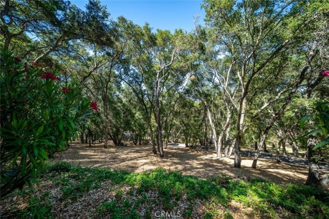 Tiny photo for 1731 San Fernando Road, Atascadero, CA 93422 (MLS # PI26130806)