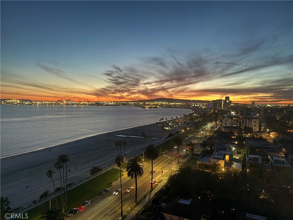 2999 E Ocean Boulevard 1430