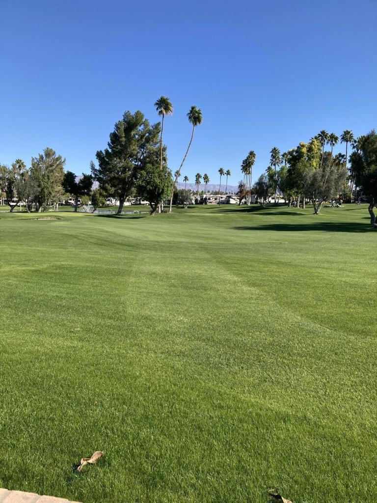 69411 Ramon Road 776