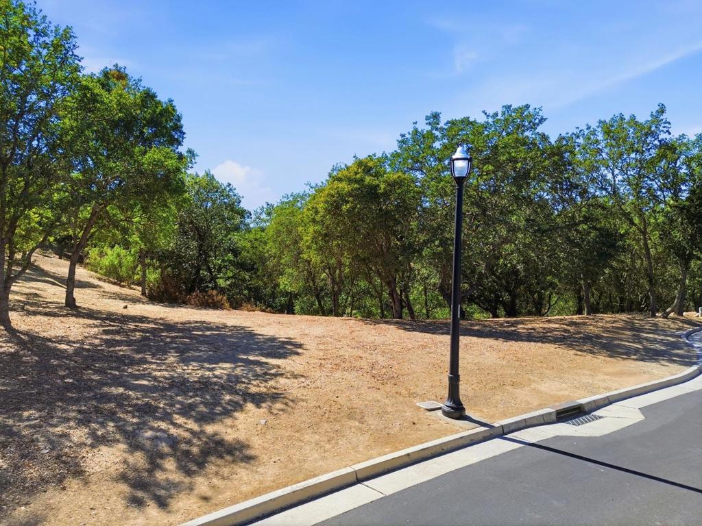 8341 Winter Green Court