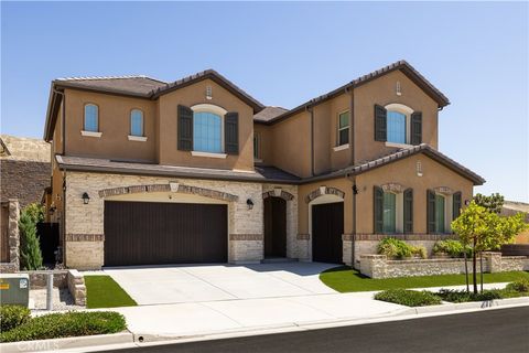 3017 Viejo Ridge North Drive Lake Forest CA 92679