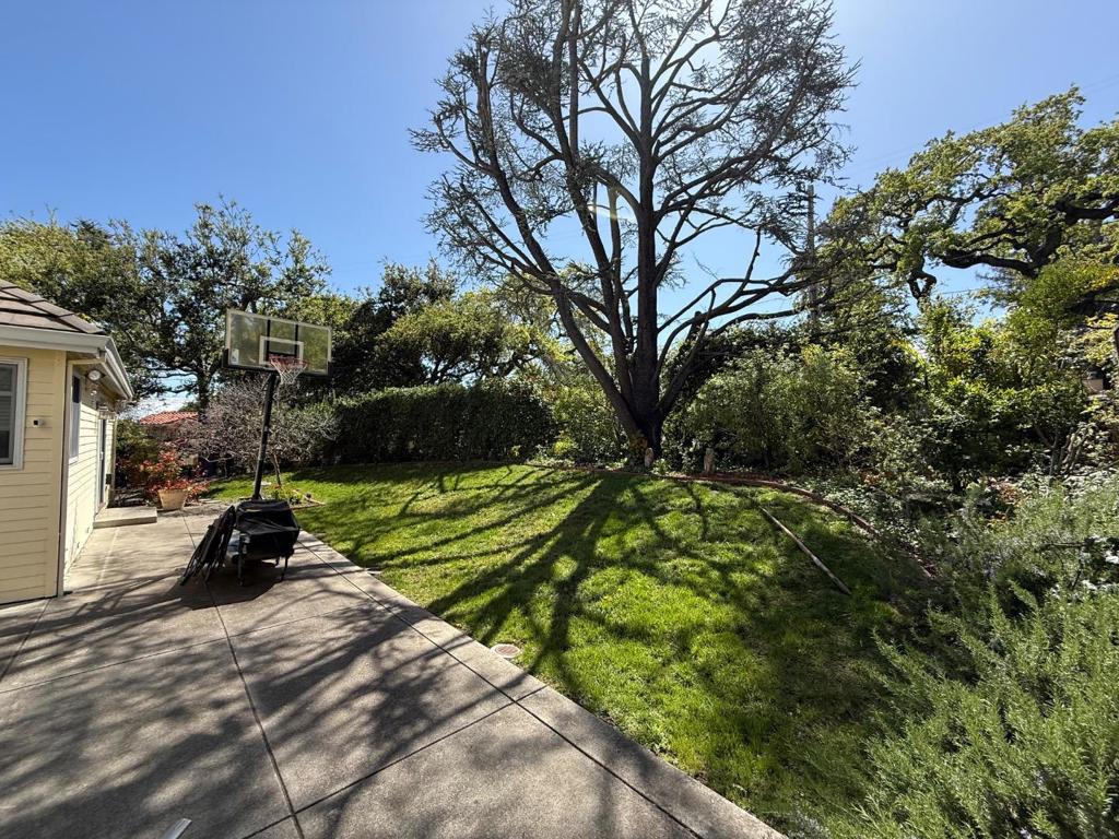 11701 Winding Way