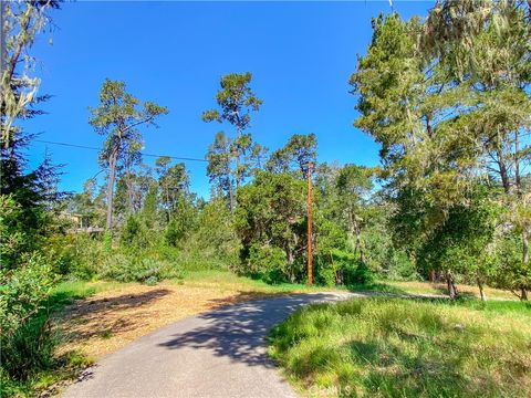 Tiny photo for 2195 Wilton Dr, Cambria, CA 93428 (MLS # SC26048039)