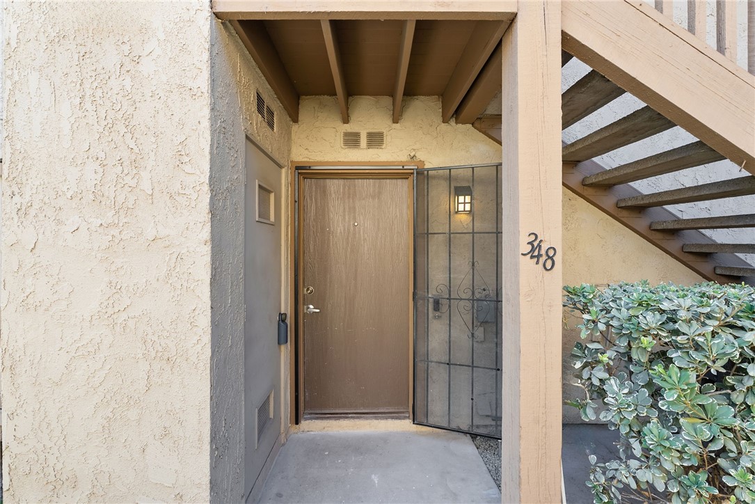 348 Orange Blossom 154