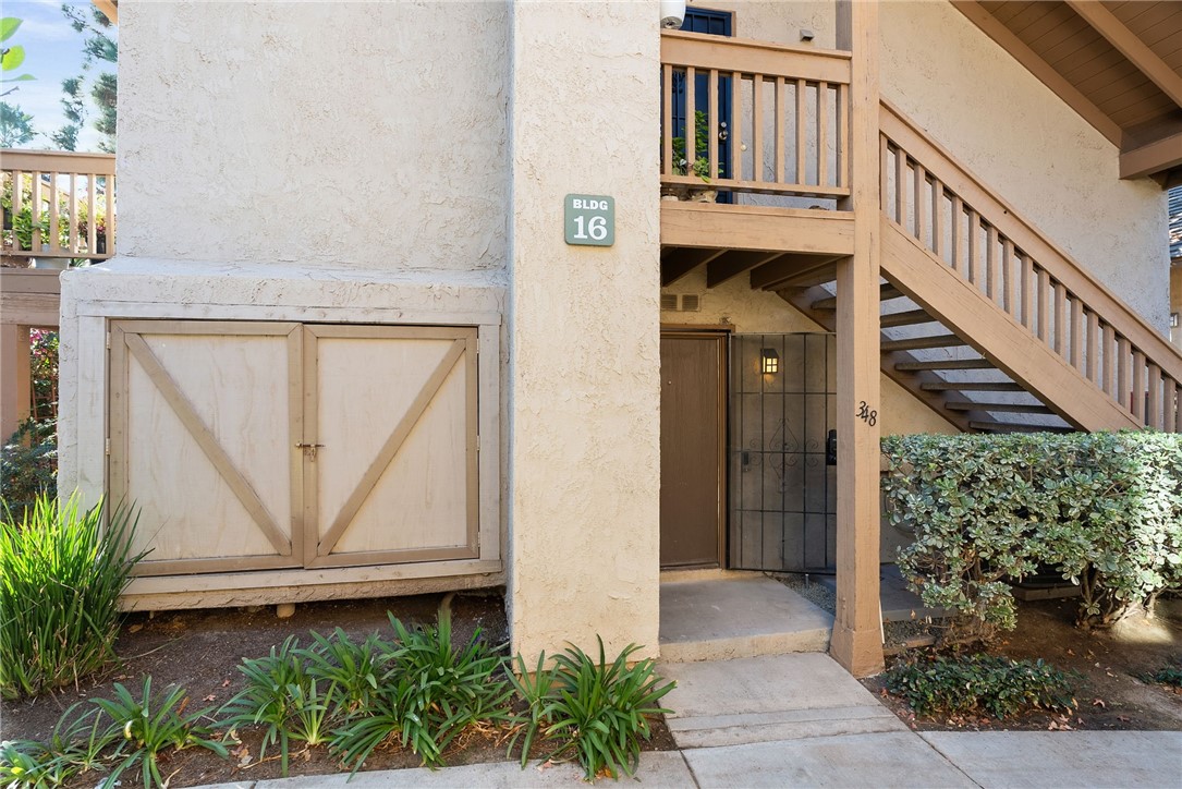 348 Orange Blossom 154