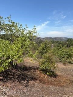 Valley Center - Land