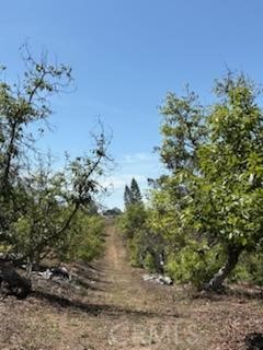 Valley Center - Land