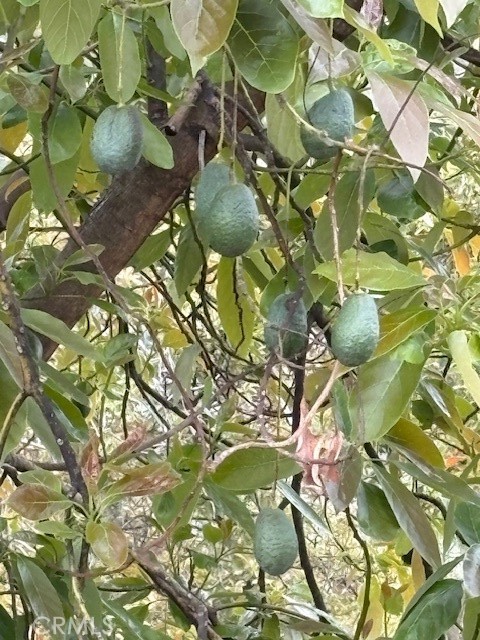 Valley Center - Land