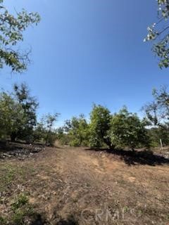 Valley Center - Land