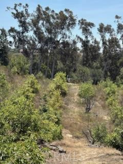 Valley Center - Land