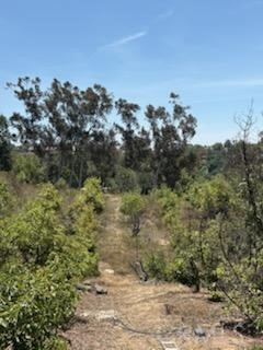 Valley Center - Land