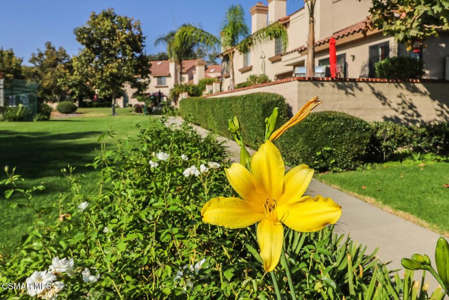 Come home to a vacation, with views of the Mountains. Great location close to the pool/spa and clubhouse and additional parking too. Including Two master suites wet bar off living room, Dining area, Atrium off dining room. Take time to enjoy and relax on your own courtyard patio. Master bedroom has a double vanity area, walk in closet separate shower.