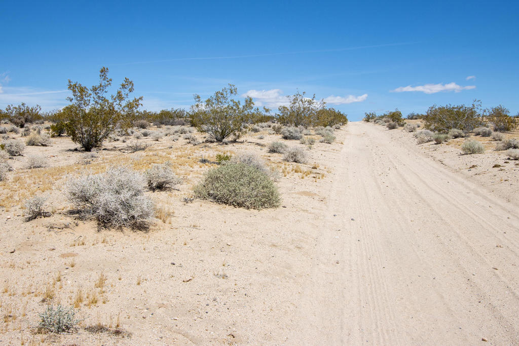 142 Shifting Sands