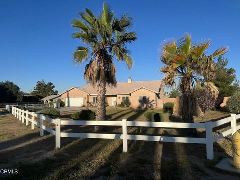 Photo of 10065 Pyrite Avenue, Hesperia, CA 92345 (MLS # P1-26727)