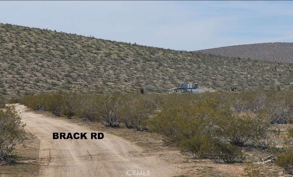 0 Highway 247/ Brack Road