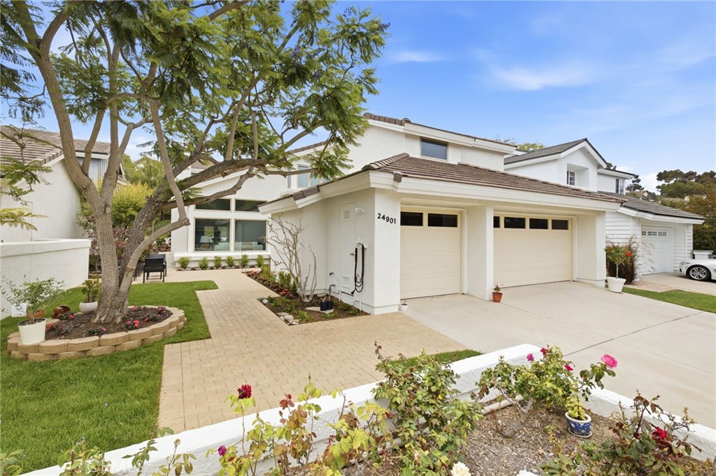 24901 Danafir