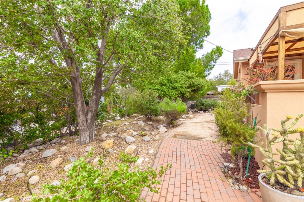 10424 Tujunga Canyon