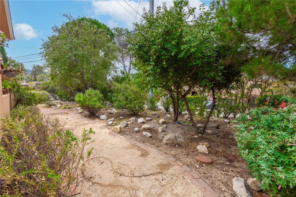 10424 Tujunga Canyon