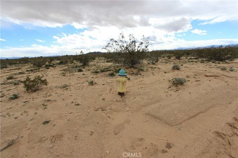 Photo of 0 Mallow, Landers, CA 92285 (MLS # IV25255331)