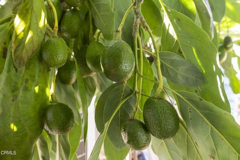 Tiny photo for 366 Court Avenue, Ventura, CA 93003 (MLS # V1-33922)