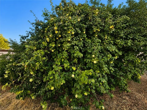 Tiny photo for 5430 Fa-Rousse WAY, Paso Robles, CA 93446 (MLS # PI26163047)