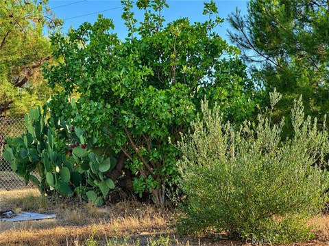 Tiny photo for 5430 Fa-Rousse WAY, Paso Robles, CA 93446 (MLS # PI26163047)