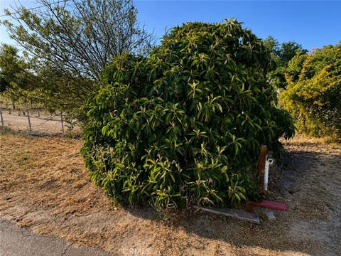 Tiny photo for 5430 Fa-Rousse WAY, Paso Robles, CA 93446 (MLS # PI26163047)