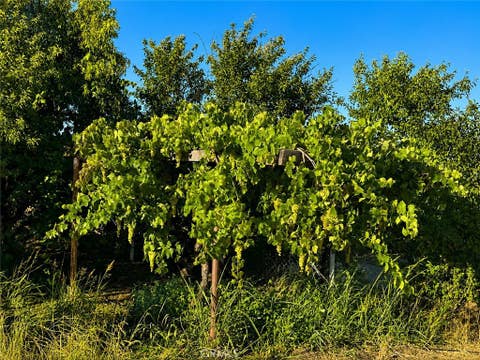 Tiny photo for 5430 Fa-Rousse WAY, Paso Robles, CA 93446 (MLS # PI26163047)