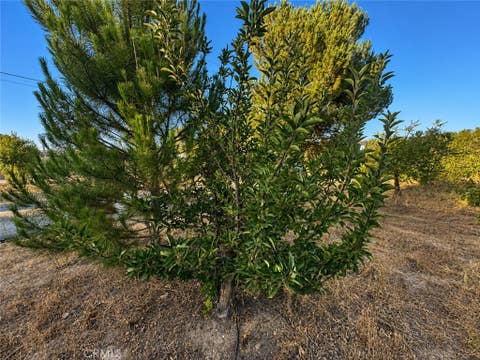 Tiny photo for 5430 Fa-Rousse WAY, Paso Robles, CA 93446 (MLS # PI26163047)