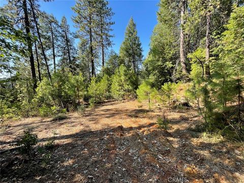 0 Forbestown Challenge CA 95925