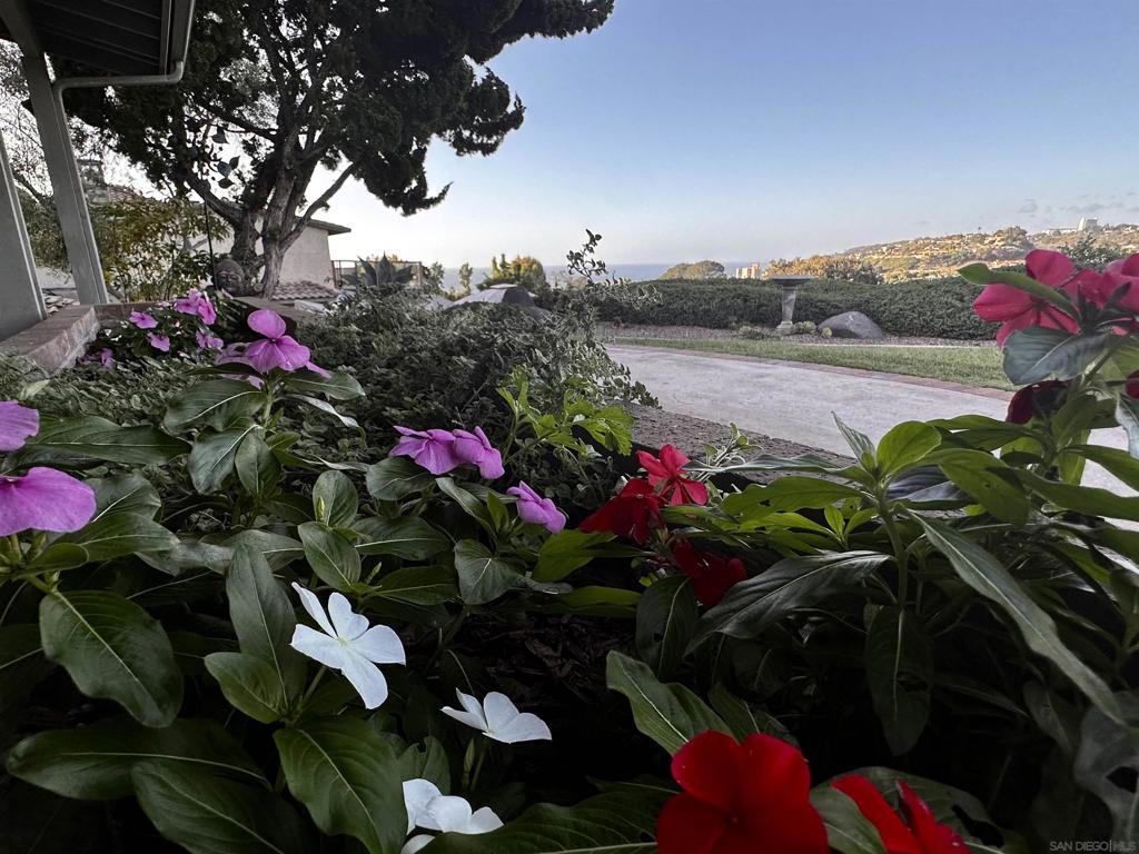 La Jolla - Residential Lease