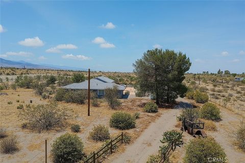 Photo of 13384 Sheep Creek Road, Phelan, CA 92371 (MLS # WS26099591)