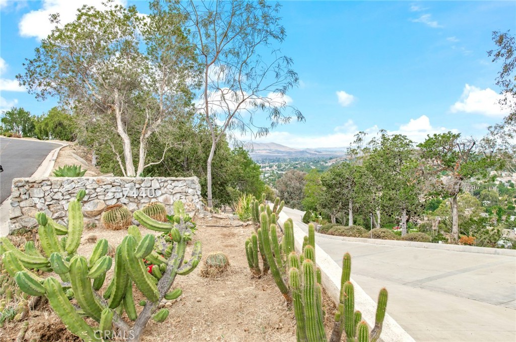 7440 Live Oak Dr.