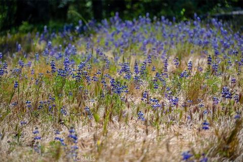 Tiny photo for 12500 Cenegal Rd, Atascadero, CA 93422 (MLS # NS26063367)